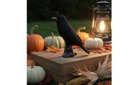 Holiday Prop Artificial Dove Figurine Feathered Surface Fake Dove Figurine Garden Decoration Black Bird Ornament Lifelike for Halloween, Christmas