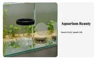 Aquatic Creature Breeding Box Multifunctional Aquatic Creature Habitat Breeder Box in-Container Fry Separation Container Easy To