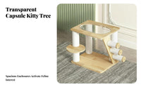 Transparent Lounge Pod Multi-Level Feline Tree with Space Capsule Sisal Scratching Posts Multi-Level Feline Climber Sturdy & Stable Pet Furniture Sturdy Construction for Apartment Dwellers, Living Room, Indoors, Home