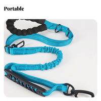 Car Safety Buckle Zinc Alloy Hardware Bungee Leash Padded Handle Pet Gear Elastic Bungee Dog Leash for Running