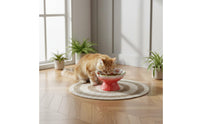 Elevated Strawberry Pet Bowl Anti-Tipping Ceramic Slow Feeder Raised Pattern Tilted Raised Pet Bowl for Cats, Dogs