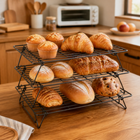 Foldable Cooling Rack for Cakes, Lattice Pattern Cooling Rack, Nonstick Heavy Duty Cookie Cooling Rack for Baking, Matte Black Rust Resistant