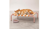 Breathable Raised Dog Bed Long-Lasting Portable Pet Cot Easy to Clean for Summer