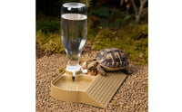 Automatic Amphibian Water Dispenser Leak-Resistant Automatic Amphibian Feeder and Waterer Gecko Food and Water Bowl with Ramp