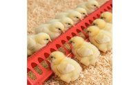 Connectable Chicken Feed Trough PVC Plastic Duck Feeder Tray Long-Lasting Goose Feed Trough Non