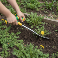 Stainless Steel Weeding and Digging Tool for Gardening and Wild Vegetable Foraging