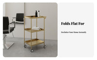 Stainless Steel Salon Trolley Space-Saving Foldable Salon Trolley With Wheels Rolling Hairdressing Cart for Hairstylists, Barbershop, Barber Shop, Spa