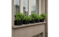 5 Pieces Hanging Planter with Hooks Oval Railing Planter Easy-to-Hang for Fence
