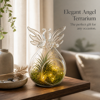 Angel Glass Terrarium Bottle for DIY Micro Landscape