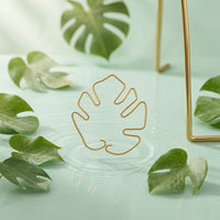 Monstera Support Simple to Use to Use Monstera Support Stake Plant Stem Gathering Frame for Balcony, Outdoor, Garden