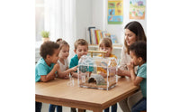 Transparent Acrylic Pet Box High See-Through Quality Attractive Assembly Terrarium Transparent Small Creature Enclosure