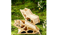 Hamster Tunnel with Ramp Climbing Wooden Hamster Smooth Pet Supply for Hamsters