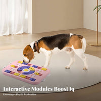 Dog and Cat Food Brain Teaser Squeaky Button Interactive Pet Brain Teaser Feeder