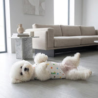 Post-Surgery Dog Suit and Recovery Suit for Dogs, Short Sleeve Body Canine Garment Bodysuit with Belly Protection