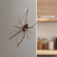 Spider Fridge Magnetic Piece Realistic Spider Magnetic Piece Novelty 3D for Collectors, Refrigerator, Halloween