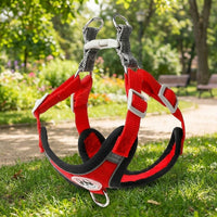 Small Dog Harness with Leash and Chest Strap, Solid Polyester Vest with Buckle, Dog Walking Set for Outdoor Walking and Easy Control Training