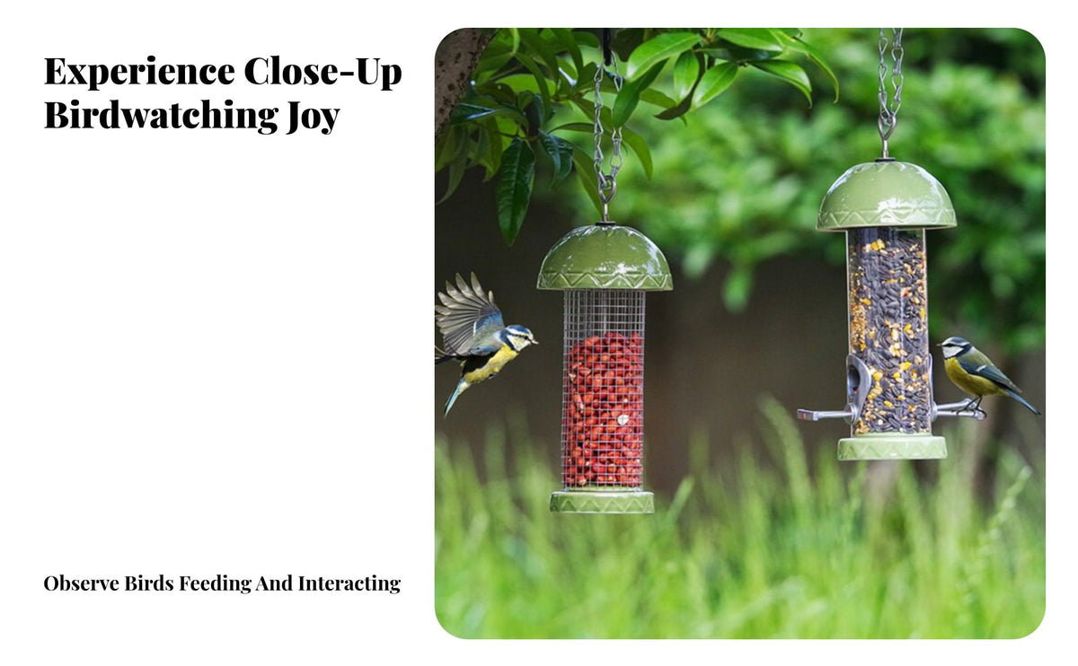 Decorative Design Wild Bird Feeder Weather Resistant Wild Bird Dispenser Easy to Refill for Garden Enthusiasts, Backyard