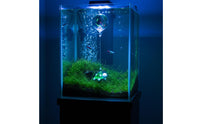 Micro-Landscape Decor Glass Turtle Aquarium Ornament Cute Design Floating Glass Turtle for Desktop