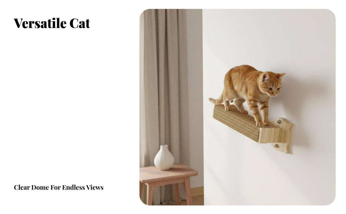 Space Saving Wall Mounted Cat Shelf Easy Installation Suction Cup Cat Perch Damage-Drill-Unoccupied Removal Pet Furniture Heavy Duty for Indoors, Living Room, Bedroom