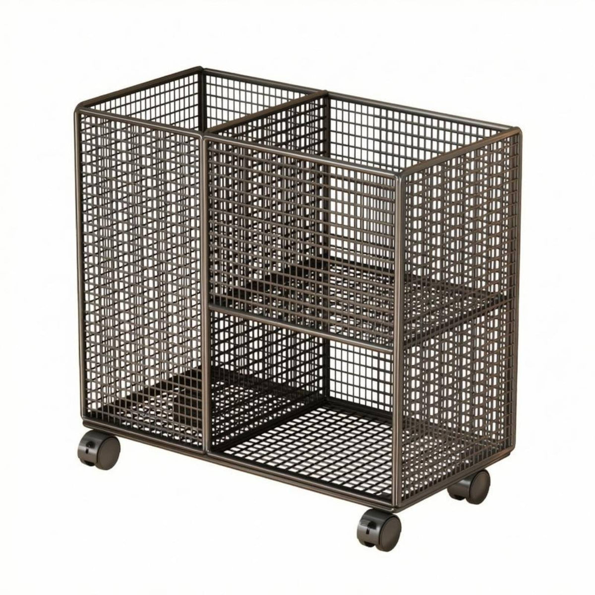 Two-Tier Fitness Storage Rack Caster Wheels Mesh Storage Carrier uncoveredTop Sports Equipment Organizer Heavy-Duty Steel for Home Gym