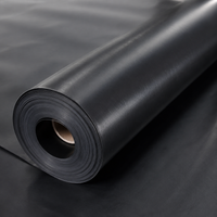HDPE Geomembrane Sheet 0.2mm Thick Black Waterproof Sheet for Reservoirs and Aquaculture Ponds