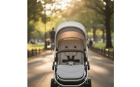 Infant Carriage Bar Cushioned Carriage Bar Guard Accessory for Travel