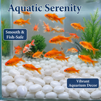 Decorative Pebbles, 2.5kg River Pebble Gravel 2-3cm, Garden Stones for Landscaping, Aquarium & Potted Plants