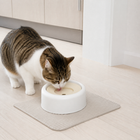 Mini Floating Pet Water Bowl for Small Dogs & Cats - No-Spill, Anti-Wet Mouth Design