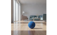 Toy Ball with Grooves Textured Dog Ball Solid Handheld for Dogs, Fetch, Indoor