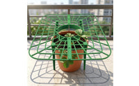 Prevents Decay Strawberry Growing Rack Promotes Air Circulation Strawberry Support Frame Easy to Install Fruit Plant Holder Reusable for Garden