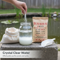 Cationic Polyacrylamide PAM Flocculant for Water Treatment
