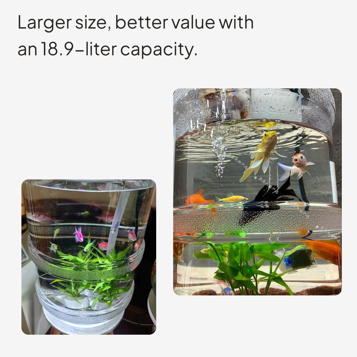 Creative Transparent PC Fish Habitat for Desktop