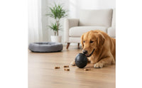 Bite Resistant Dinosaur Egg-Shaped Dog Toy Boredom Relief Interactive Treat Dispensing Toy Easy to Pet Hygiene Supply Freezable for Dogs