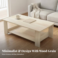 Minimalist Design Two-Level Coffee Table Stable Structure 2-Tier Low Table Easy to Clean Household Furniture Sturdy Construction for Small Apartment Dwellers, Homeowners, Families, Living Room, Balcony, Lounge Area, Office Breakroom