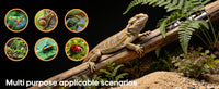 Acrylic Assembly Transparent Reptile Breeding Box for Hermit Crabs