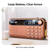 Audio Player Audio Device with Speaker Flash Card and Universal Serial Bus Compatible with Multi-Function Navytooth Radio Small Design Portable
