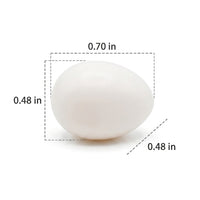 Solid Matte White Dummy Eggs for Birds, Fake Eggs for Canary Breeding, Sturdy Incubation Tool for Brooding