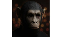 Ape Headpiece Full-Head Wearable Primate Headpiece Realistic for Adults, Cosplayers, Costume Parties, Jokes