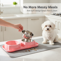 Double Cat Bowl Set with Stainless Steel Food and Water Bowls, Spill-Proof, Tilted Design for Pets