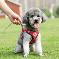 Small Dog Harness with Leash and Chest Strap, Solid Polyester Vest with Buckle, Dog Walking Set for Outdoor Walking and Easy Control Training