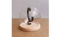 Clear Watch Display Dome Cloche  Showcase Dust Protection Watch Dome Display Lightweight