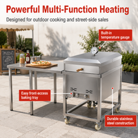 Commercial Pizza Oven for Catering Businesses, Portable Gas Outdoor Pizza Oven with Grill, Black Metal Heavy Duty Restaurant Pizzeria