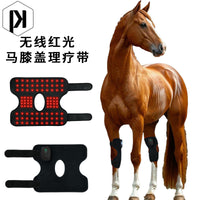 Equine Infrared Therapy Lamp for Knee and Joint Recovery