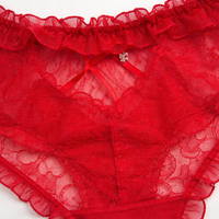 Underwear Women High Waist Lace Design with Gusset Lining, Breathable Mesh Construction for Everyday Comfort, Elastic Waistband