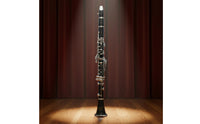 Beginner Friendly B Flat Clarinet Easy to Use B Flat Clarinet Long-Lasting Body Woodwind Instrument Stable Tuning for Students, Beginners, Kids, Practice, Music Lesson