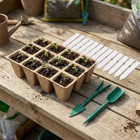 12 Cell Seedling Trays, Biodegradable Paper Pulp Pots, Plant Propagation Trays with Gardening Labels, Small Garden Tools Included