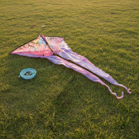 Long Tail Kite Beginner Friendly Vibrant Colors for Family Outings
