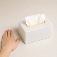 Transparent Acrylic Tissue Box, for Office and Living Room, Modern Minimalist Model 19.5 × 12.5 × 10 cm
