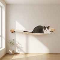 Cat Climbing Frame and Wall-Mounted Indoor Furniture, 5-level Activity Center with Condo, Space-Saving Playground for Large Adult Cats, 20kg