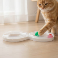 Cat Track Toy Interactive Endless-Loop Track Toy Translucent Slim for Active Cats, Home